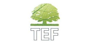 tef tef
